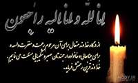 تسلیت معاونت محترم آموزشی دانشگاه علوم پزشکی به خانم دکتر هاشمی مدیرمحترم  امور بین الملل دانشگاه علوم پزشکی 