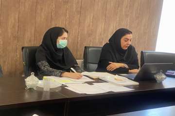 نشست هم اندیشی دبیران و کارشناسان کمیته های منتخب